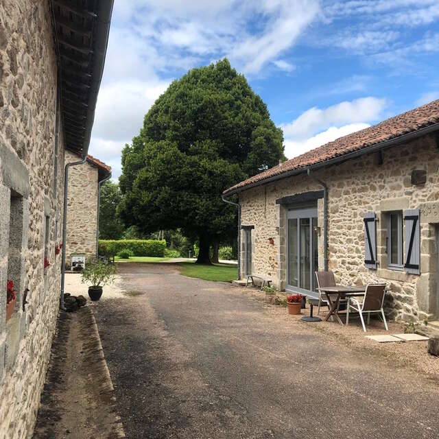La Lègerie "La grenouille"