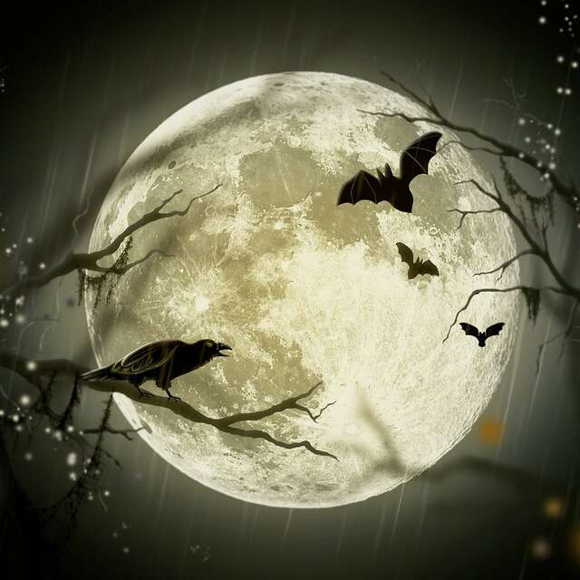 Concert : Rituel Nocturne