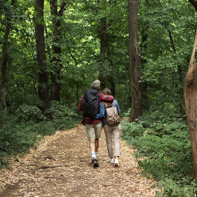 Randonnée pédestre ou canirando non chronométrée