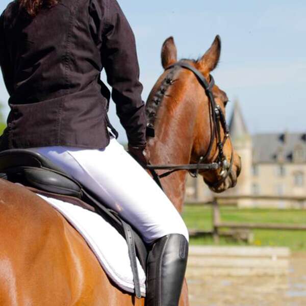 Le Haras du  Parc