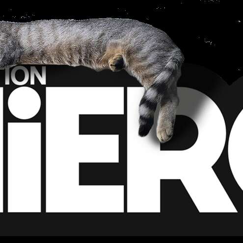 Concert Pain in Magazine