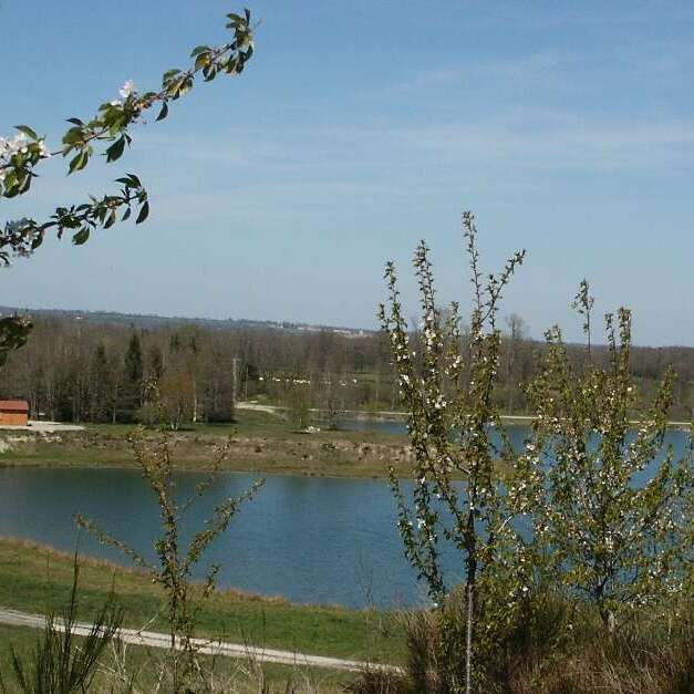 Balade nature : Haies et Bocages