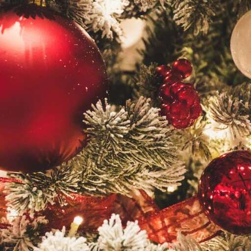 Sapin de Noël Partagé