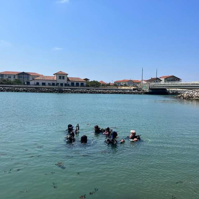 Baptême de plongée sous marine au Courant