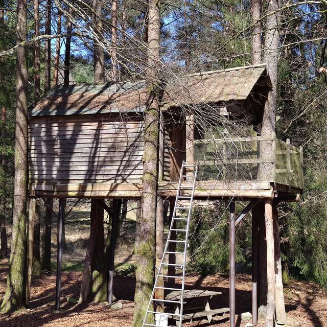Cabane dans les arbres de la Ferme de Vassivière