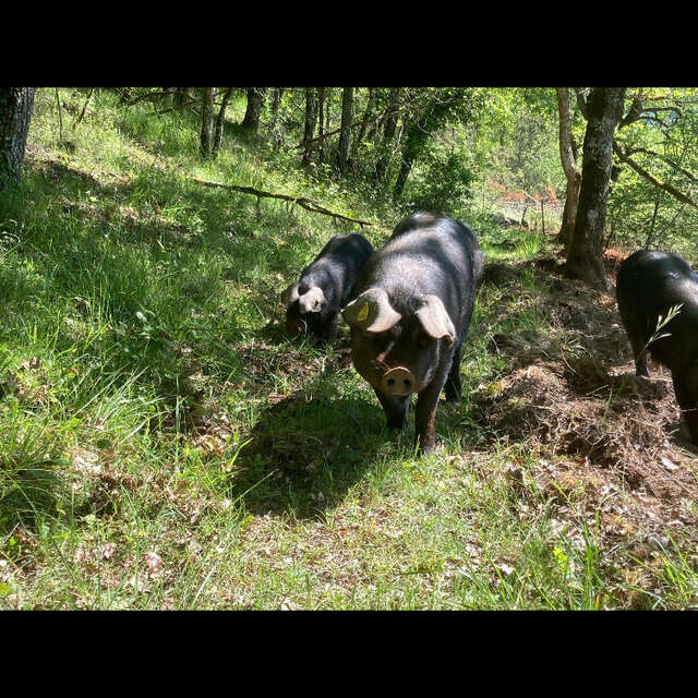 Ferme La Massinie
