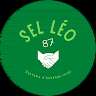Réunion de SELléo87