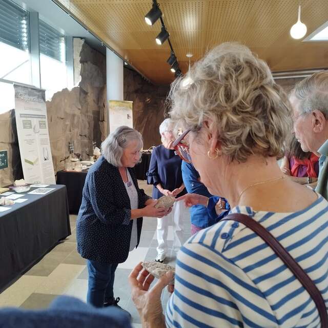 Visite commentée de l'exposition "Le kaolin : de la carrière à porcelaine"