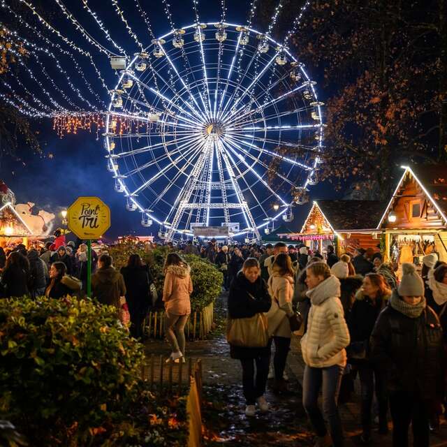 Noël à Pau - La Grande Roue