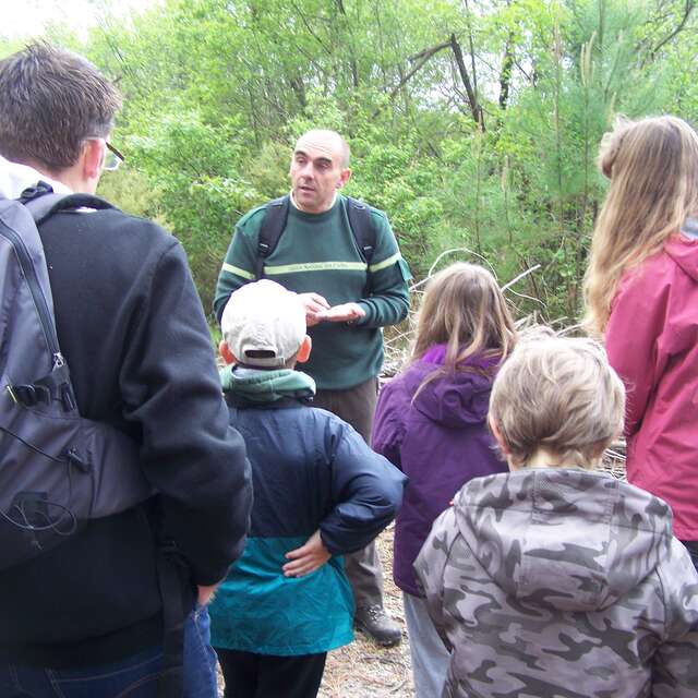 Visite guidée O.N.F Dune, Forêt littorale, Réserve biologique de la Maillouèyre