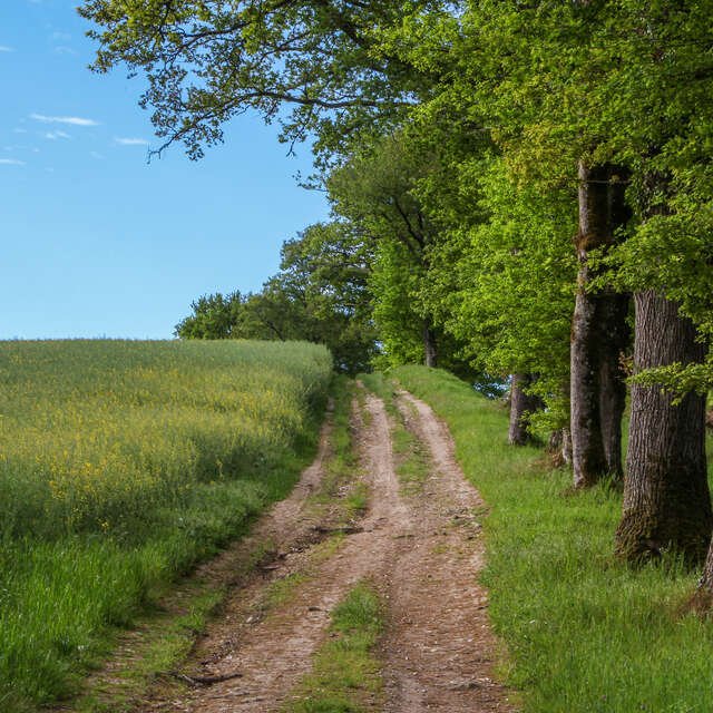 Les Hauts d'Oradour