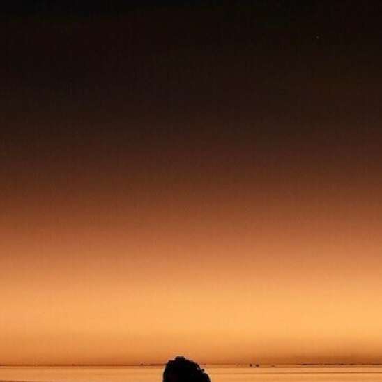 Exposition "Les Yeux sur le monde"