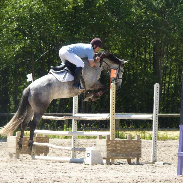 Equitation, balades - Ecuries d'S'Poir