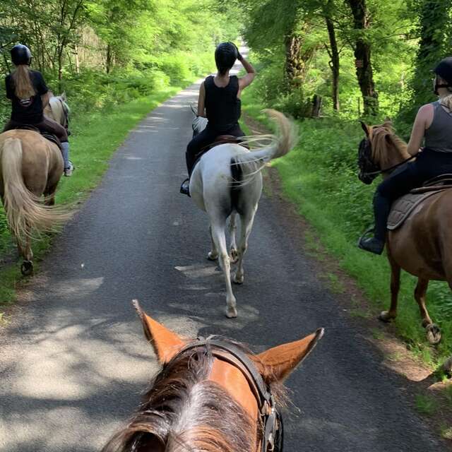 Ecole d'équitation des Perrières