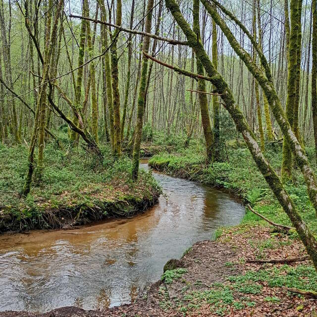 Sophro balade, osez une vraie pause Zen au cœur de la Nature !