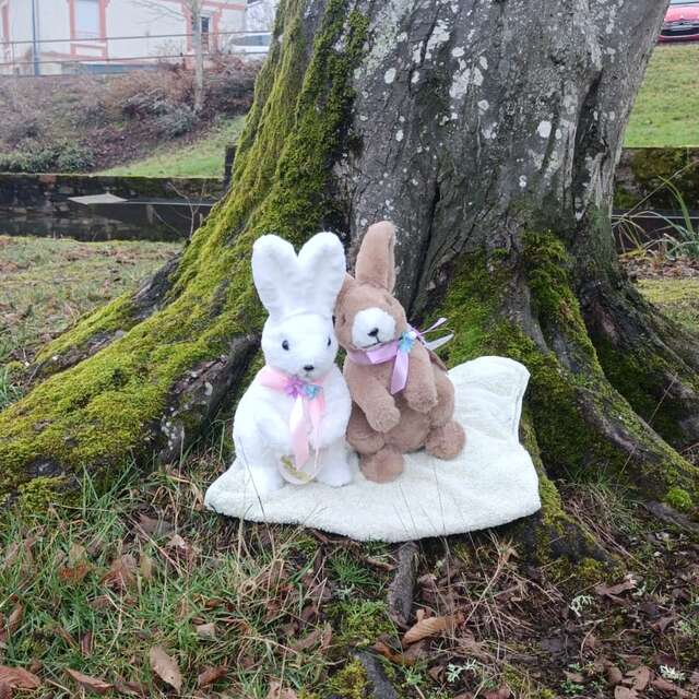 Chasse aux oeufs du Club Gymnique 87