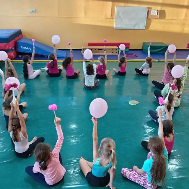 Gala du club gymnique 87