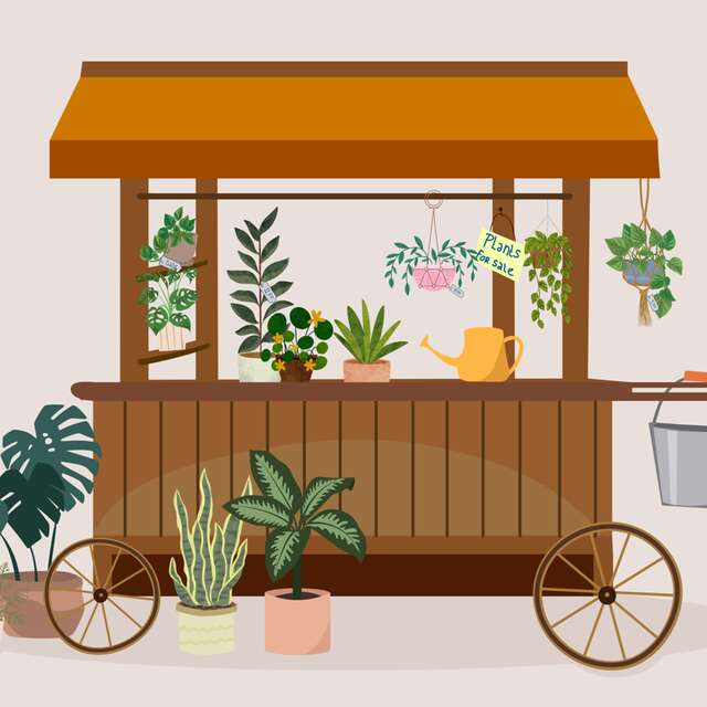 Marchés aux plantes