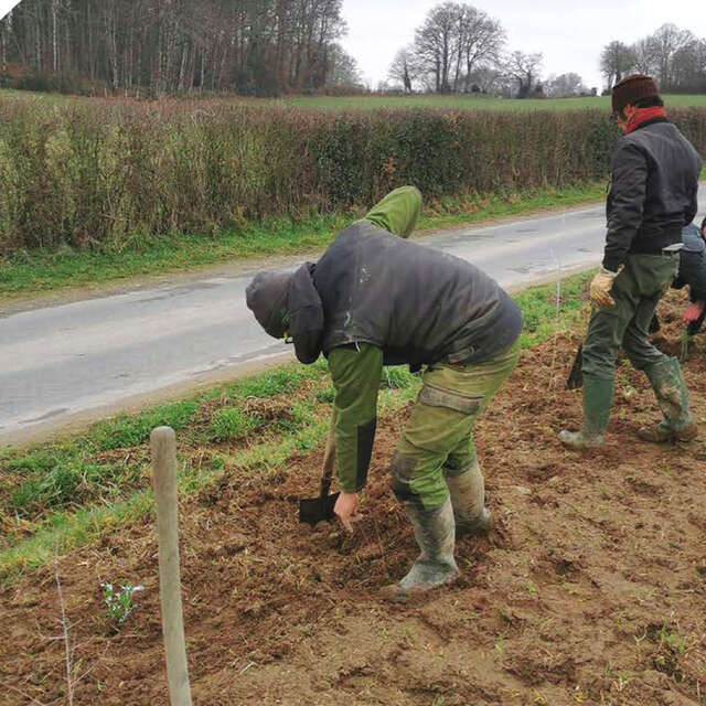 Chantier participatif à la plantation d'une haie