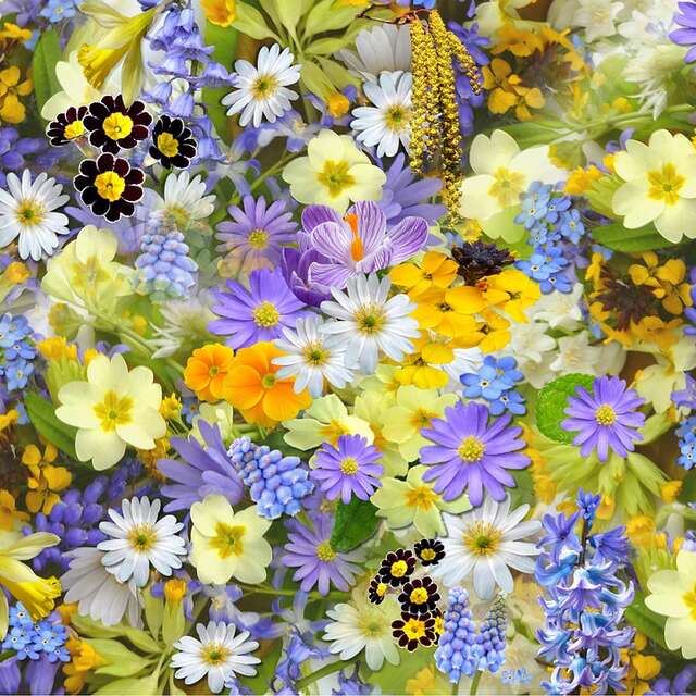 9ème Fête des Plantes, du Jardin et de la Nature
