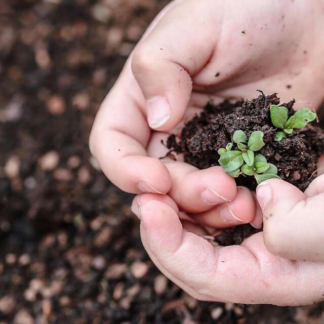 Atelier parent-enfant - les secrets du jardin et de la forêt