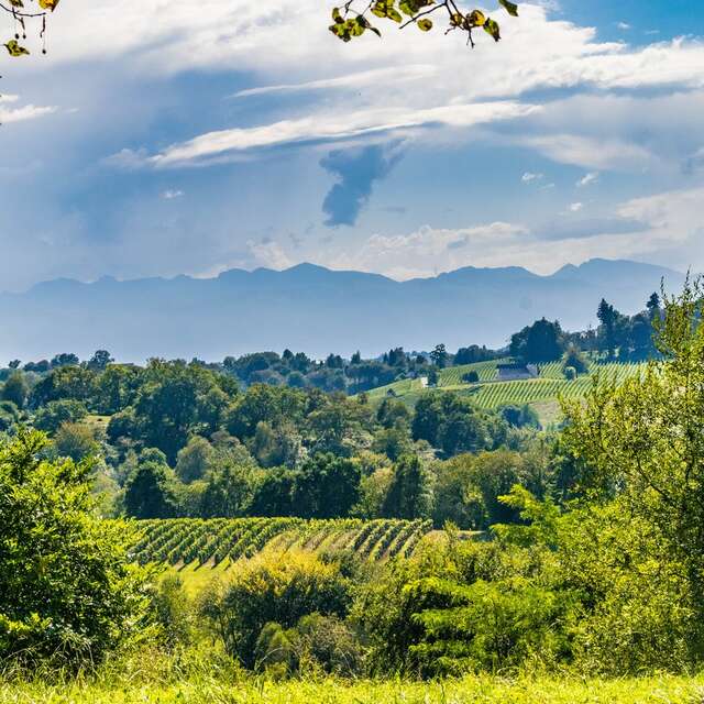 Jurançon - Boucle Monplaisir-Perpignaa