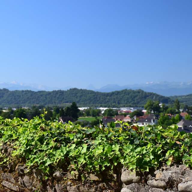 Lescar, capitale historique du Béarn