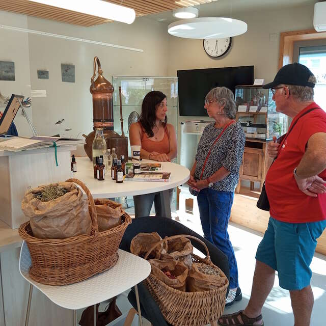 Rendez-vous avec l’artisanat local et la passion créative !