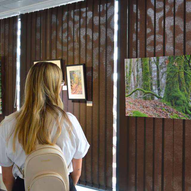 Exposition - Nos villages en images, notre territoire en lumière