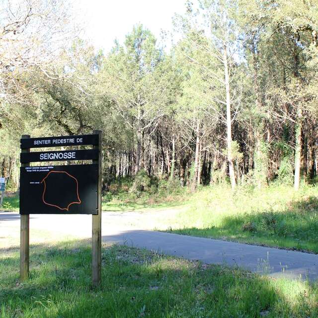 Le circuit orange de la palombière