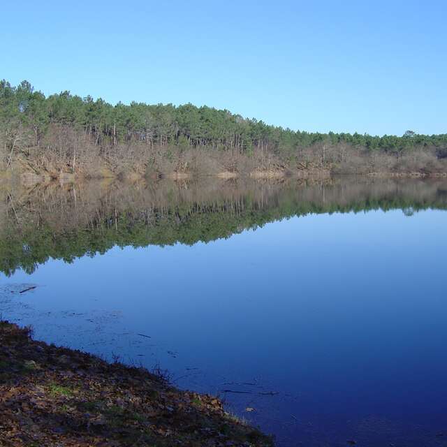 A Bias, sentier pédestre "L'Etang du Bourg Vieux"