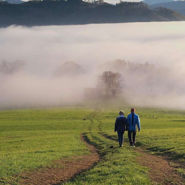 Randonnée pédestre
