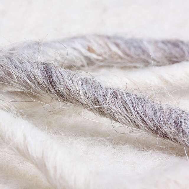 Atelier à la ferme: feutrage de laine