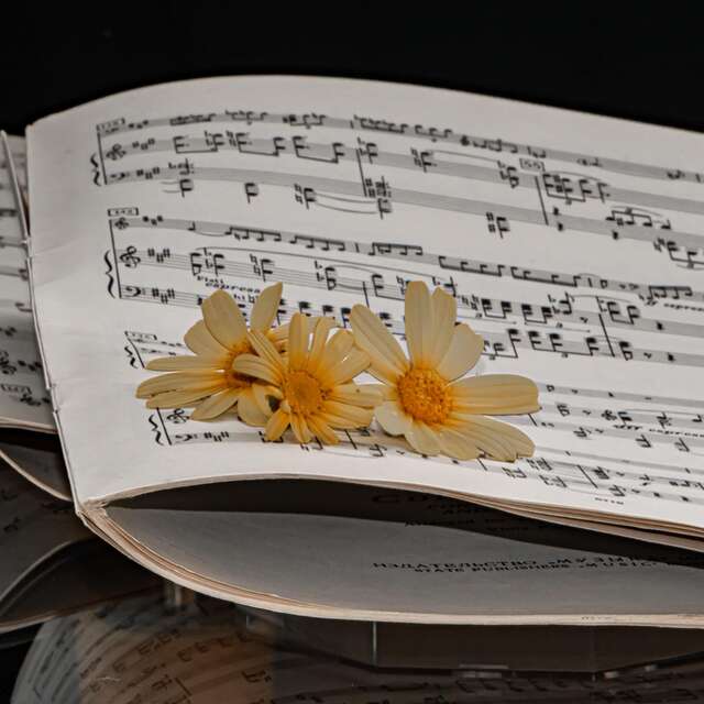 Concert : Chant'Oc Greu