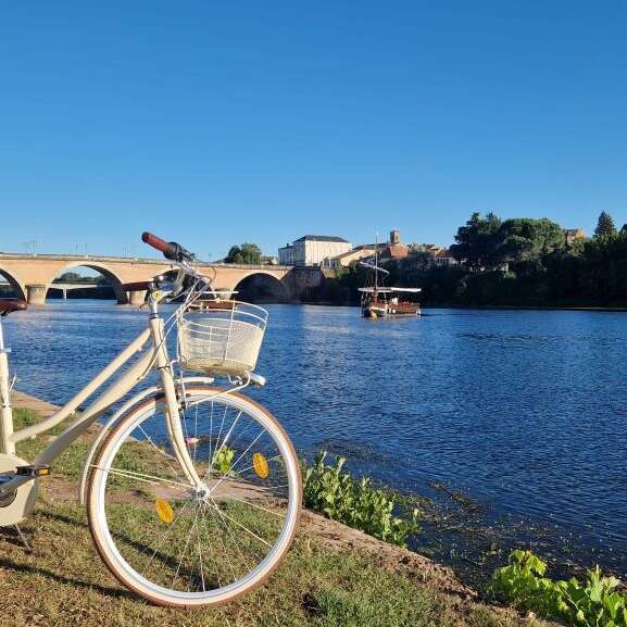 Mobility Bike