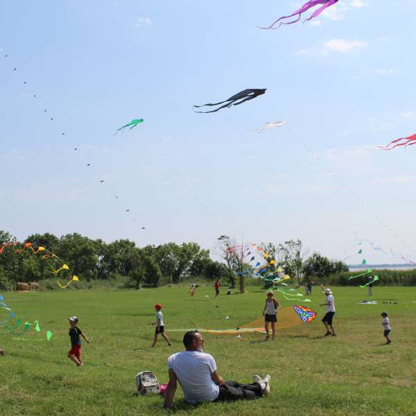 Fête du Vent à Terres d'Oiseaux
