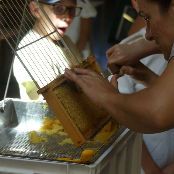 Fête du Miel à Terres d'Oiseaux