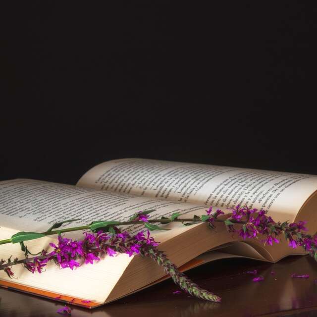 Lectures avec Les Amis des mots