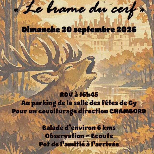 Balade Le brame du cerf