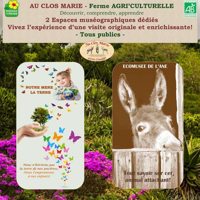Au Clos Marie - Ecomusée de l'âne et  