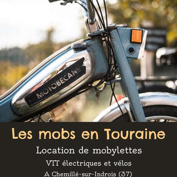Les mobs en Touraine