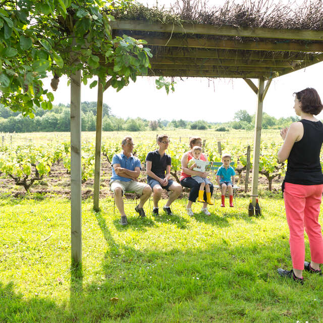 Activités Oenotouristiques au Domaine Sauvète