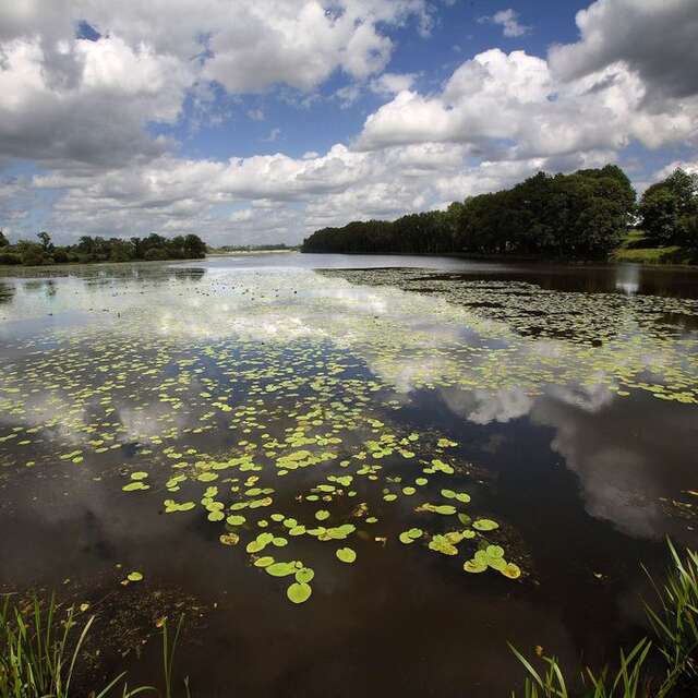 25 L'ETANG NEUF