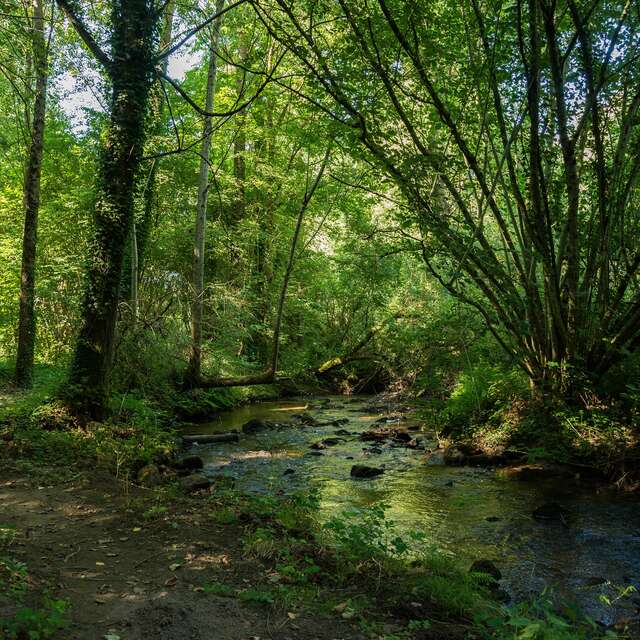 LASSAY, CIRCUIT DU RUISSEAU