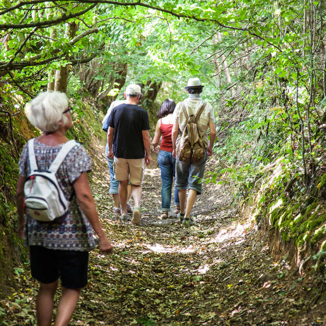 La Vallée de la Chéronne
