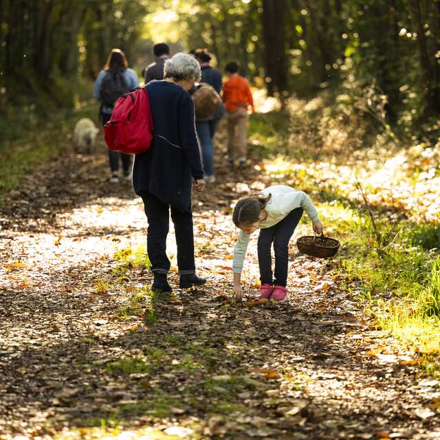 La boucle du Chêneau