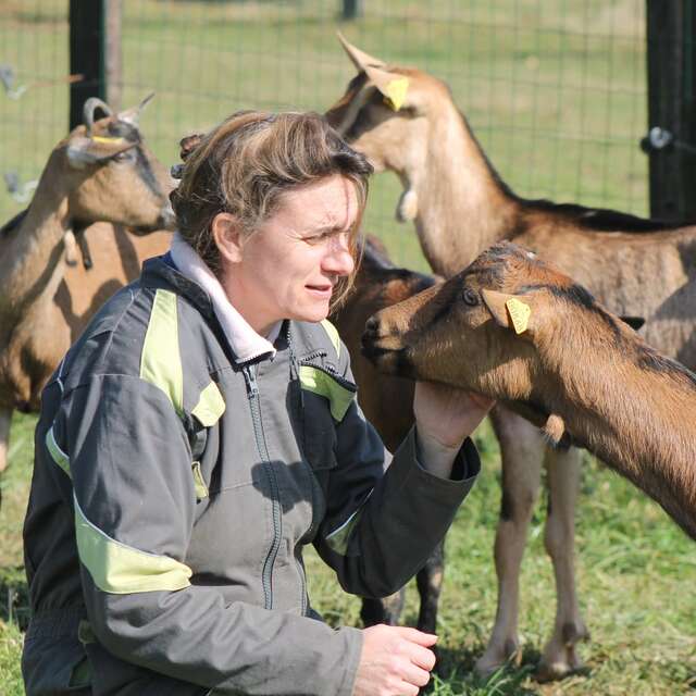 CAMPING A LA FERME DU PETIT COIN DE PARADIS