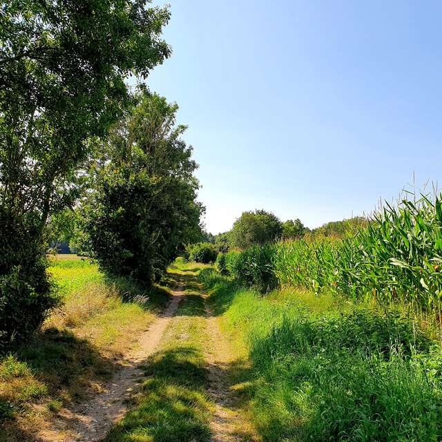 CIRCUIT PÉDESTRE AU FIL DE LA VENDEE