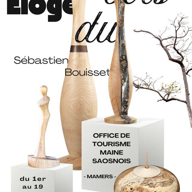 Exposition de Sébastien Bouisset "Éloge du Bois"