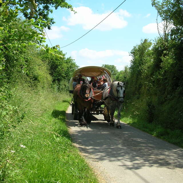 BOUCLE MULTI-RANDONNÉES N°03 - SPÉCIAL CHEVAUX ET ATTELAGES / SECTEUR ST PIERRE SUR ERVE THORIGNÉ ET LIAISON CHAMMES